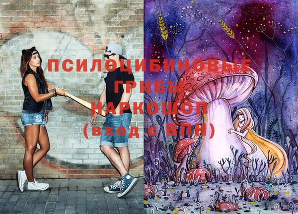 ПСИЛОЦИБИНОВЫЕ ГРИБЫ Алексин