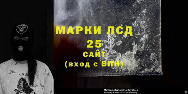ПСИЛОЦИБИНОВЫЕ ГРИБЫ Алексин