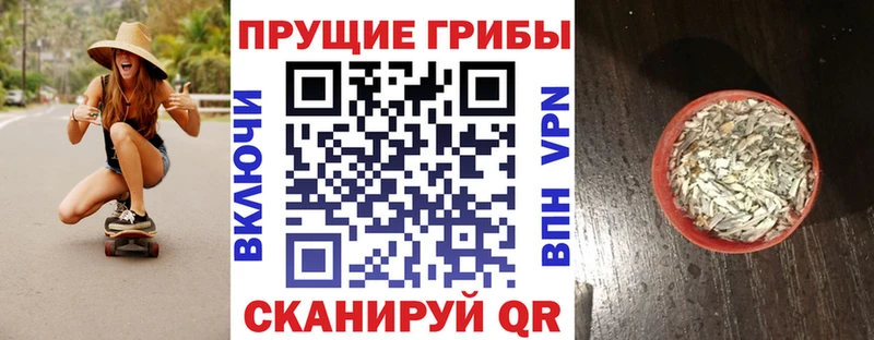 Псилоцибиновые грибы прущие грибы закладка Егорьевск